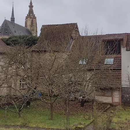 Am Stadtgarten Apartment