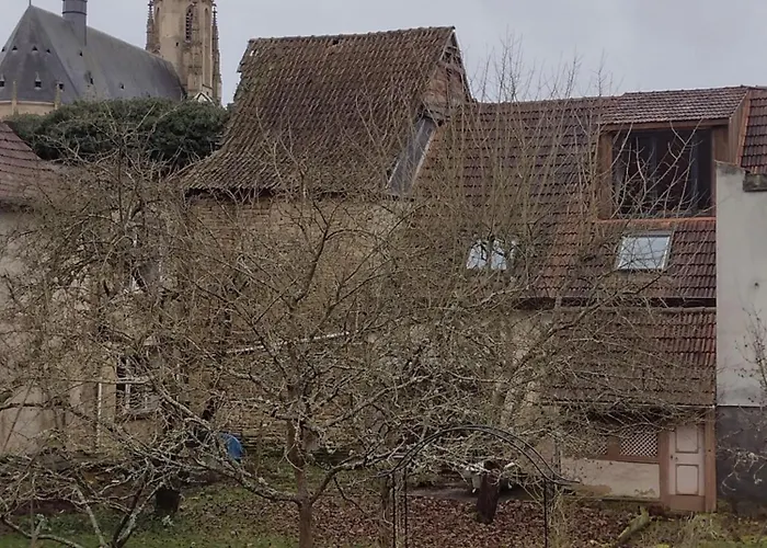 Am Stadtgarten アパート