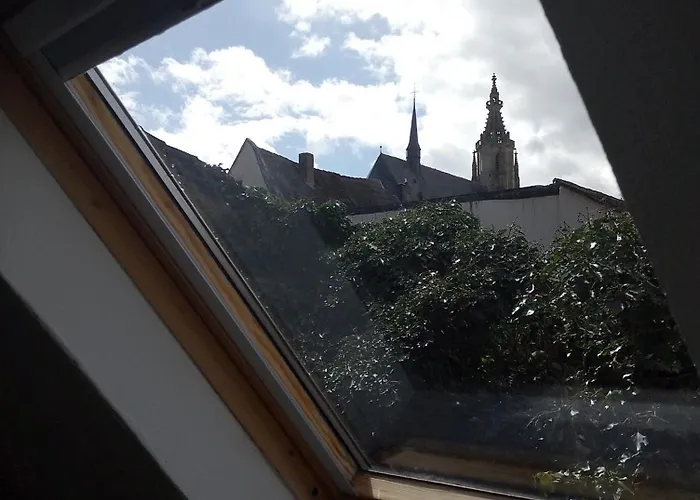 Am Stadtgarten アパート *